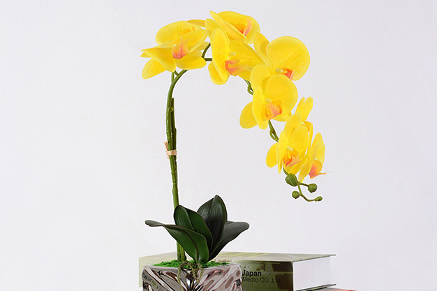 Artificial Plant for Healthcare-05.jpg